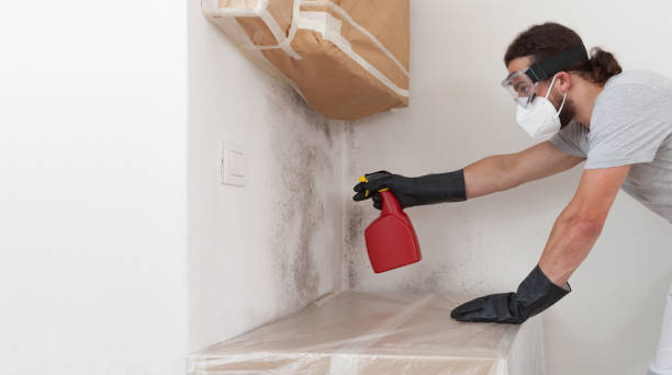 Professional Bathroom Mold Removal technician working in Glen Ridge, NJ